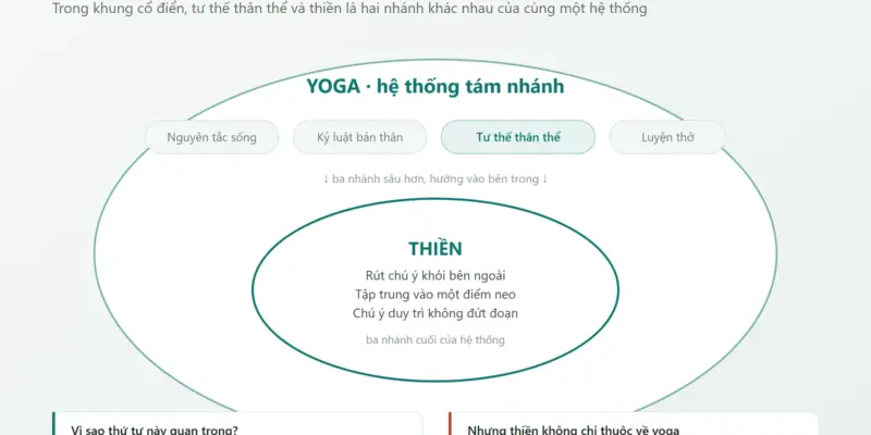 Sơ đồ hai vòng lồng nhau cho thấy thiền là ba nhánh cuối nằm bên trong hệ thống tám nhánh của yoga, cùng các nhánh nguyên tắc sống, kỷ luật bản thân, tư thế thân thể và luyện thở