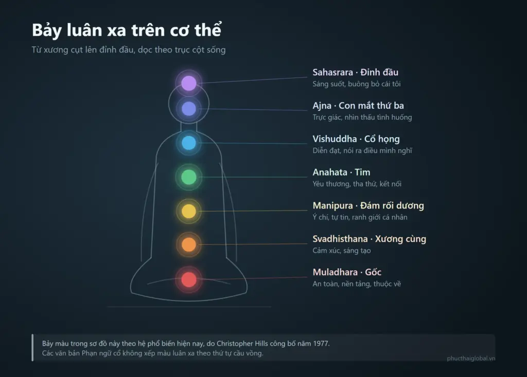 Sơ đồ bảy luân xa trên cơ thể người ngồi thiền, từ luân xa gốc ở xương cụt lên luân xa đỉnh đầu, kèm tên Phạn ngữ và chủ đề của từng luân xa