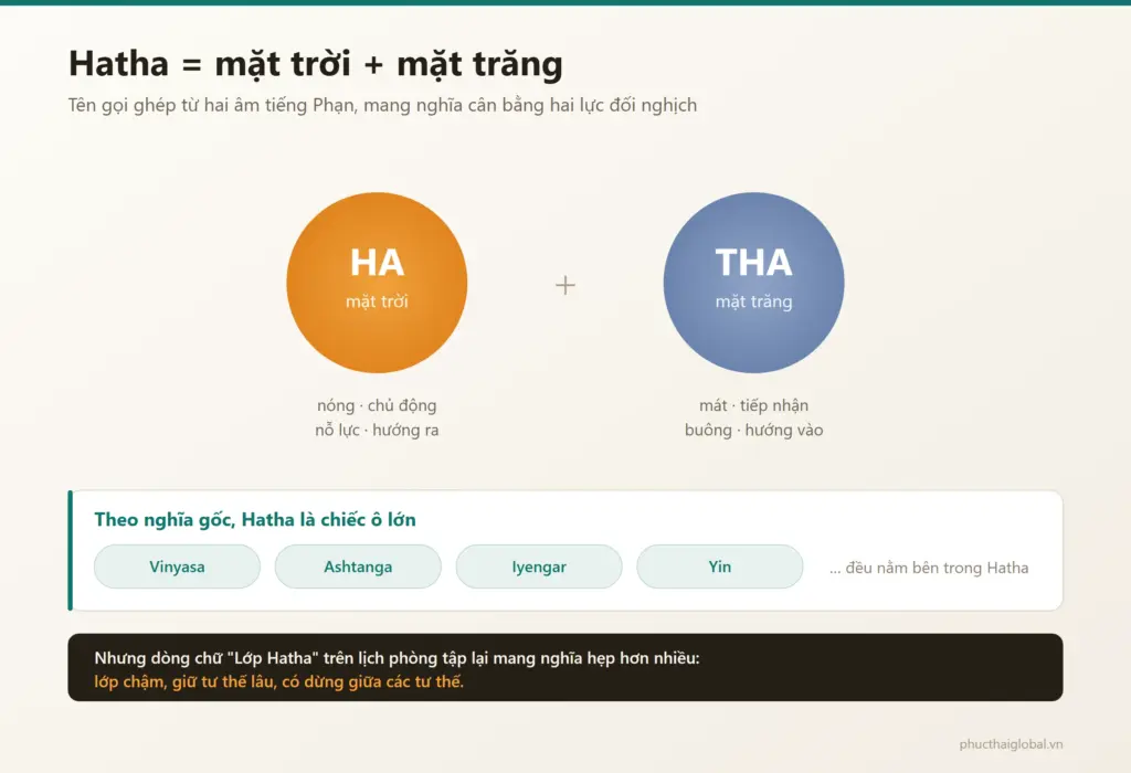 Sơ đồ giải nghĩa từ Hatha ghép từ ha là mặt trời và tha là mặt trăng trong tiếng Phạn, kèm danh sách Vinyasa Ashtanga Iyengar Yin đều nằm bên trong Hatha