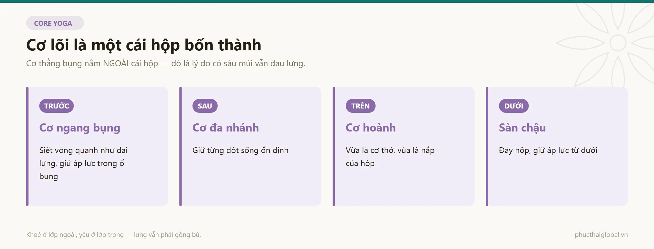 Sơ đồ cơ lõi như một cái hộp bốn thành: cơ ngang bụng ở trước, cơ đa nhánh ở sau, cơ hoành ở trên và sàn chậu ở dưới