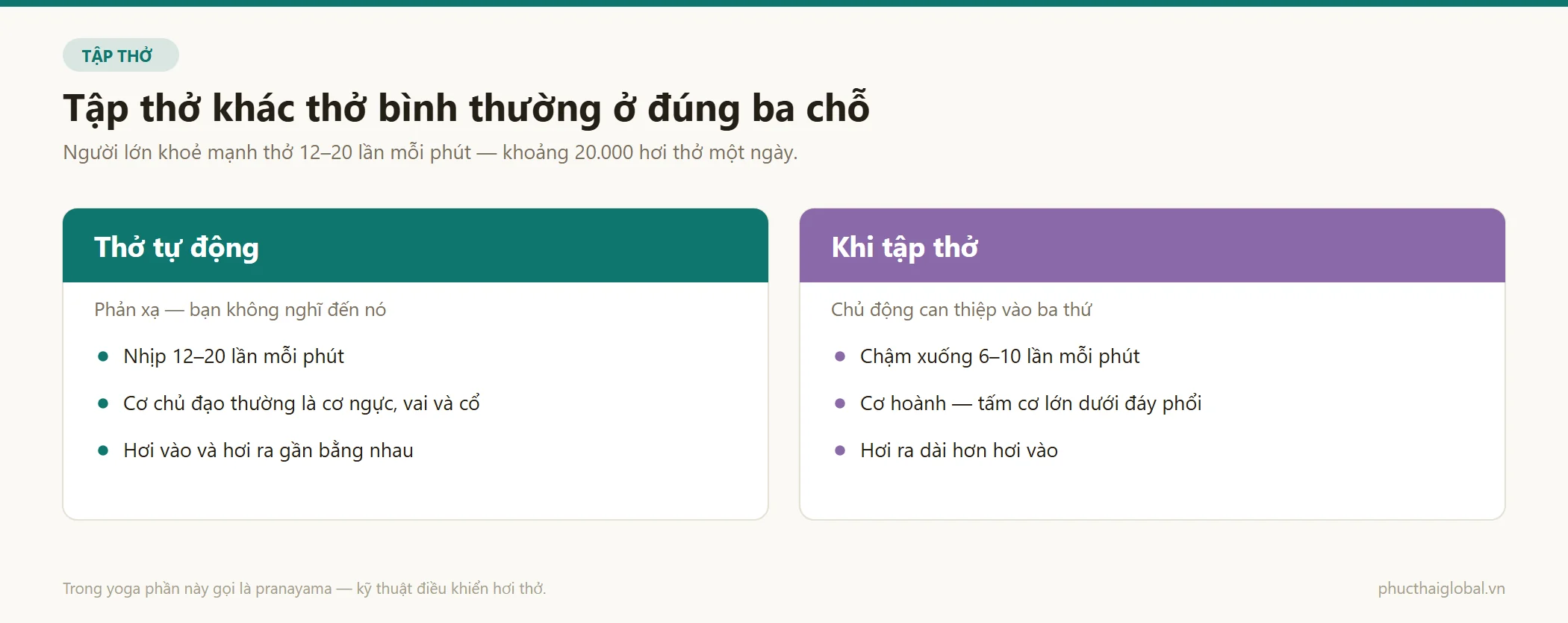 Bảng đối chiếu thở tự động và khi tập thở theo ba yếu tố: nhịp thở, cơ chủ đạo và tỉ lệ hơi vào so với hơi ra
