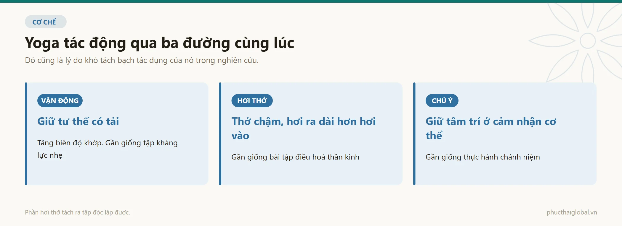Ba đường tác động của yoga chạy song song — vận động, hơi thở và chú ý — cùng cơ chế và hoạt động gần giống của từng đường
