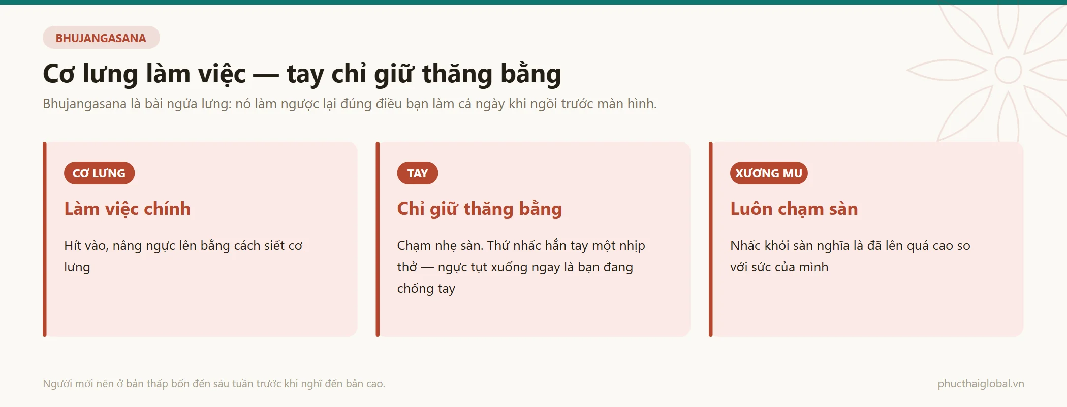Ba nguyên tắc của tư thế rắn hổ mang: cơ lưng làm việc chính, tay chỉ giữ thăng bằng, xương mu luôn chạm sàn