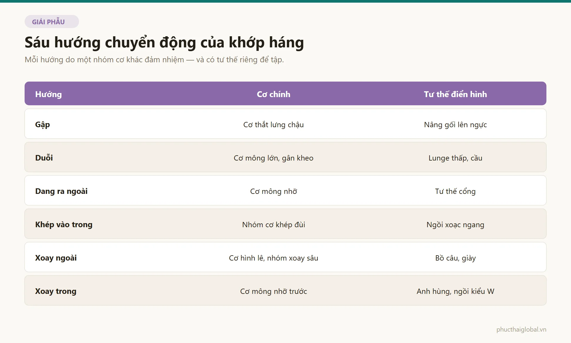 Bảng sáu hướng chuyển động của khớp háng kèm cơ chính và tư thế điển hình cho từng hướng: gập, duỗi, dang ra ngoài, khép vào trong, xoay ngoài và xoay trong