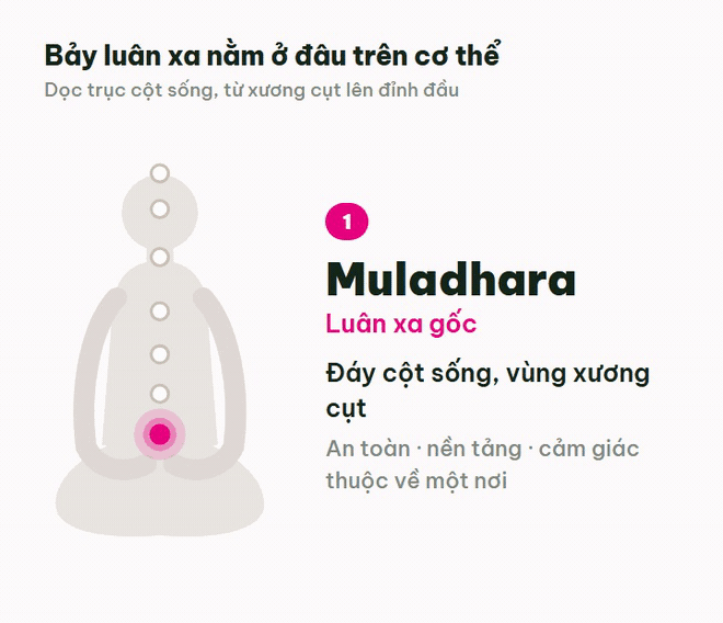 Biểu đồ bảy luân xa trên hình người ngồi thiền, từ luân xa gốc ở xương cụt lên luân xa đỉnh đầu
