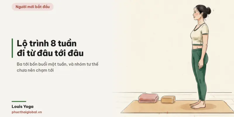 Tranh minh hoạ bài Lộ trình tập yoga cho người mới bắt đầu: 8 tuần đi từ đâu tới đâu