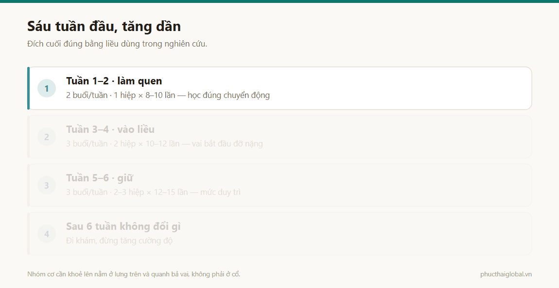 Ảnh động lộ trình sáu tuần tăng dần liều tập sức mạnh cho vùng cổ vai gáy