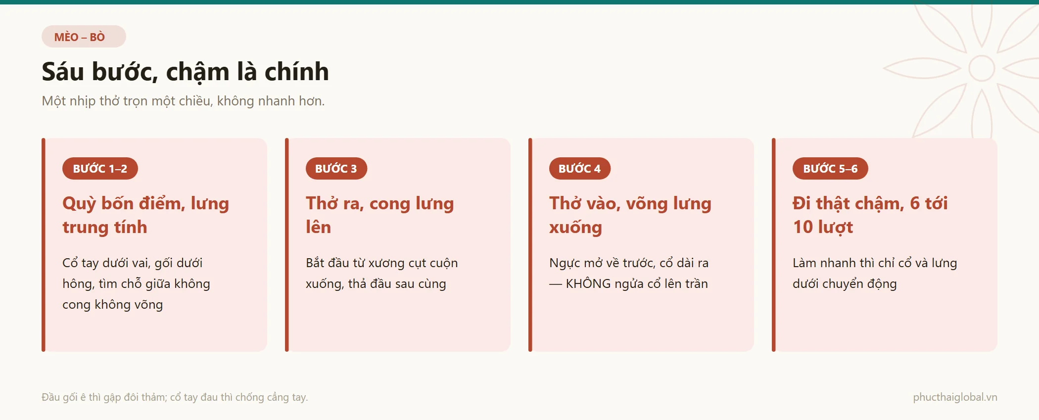 Sáu bước làm tư thế con mèo con bò kèm điểm cần chú ý ở từng bước