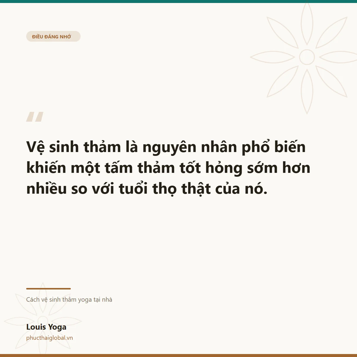 Thẻ trích dẫn: vệ sinh sai làm thảm tốt hỏng sớm hơn tuổi thọ thật
