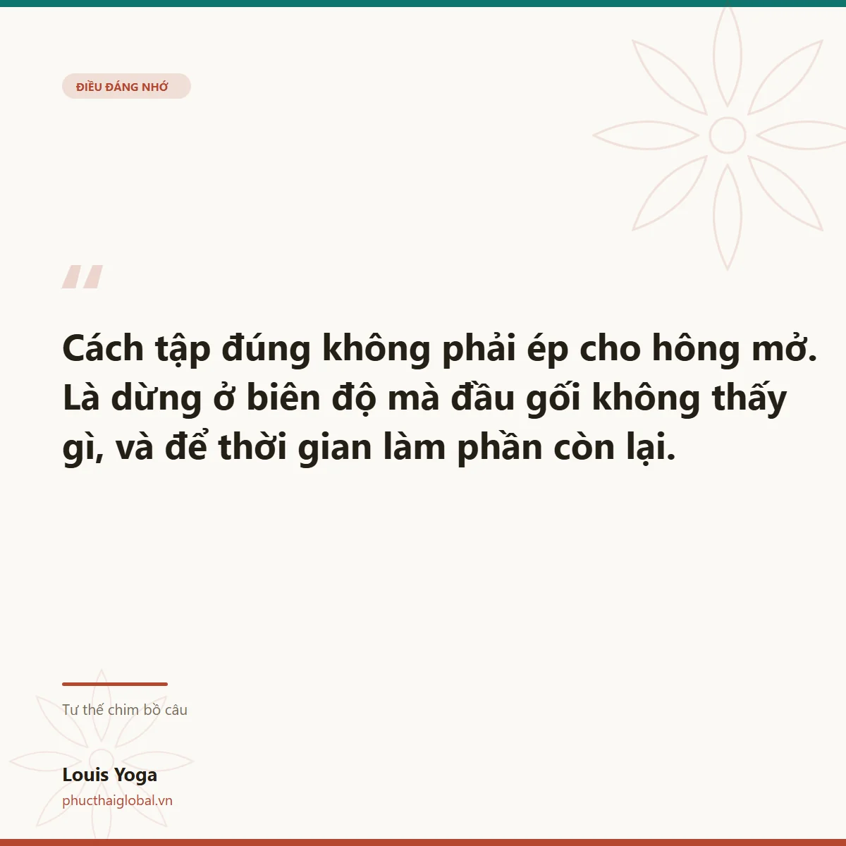 Thẻ trích dẫn: dừng ở biên độ mà đầu gối không thấy gì