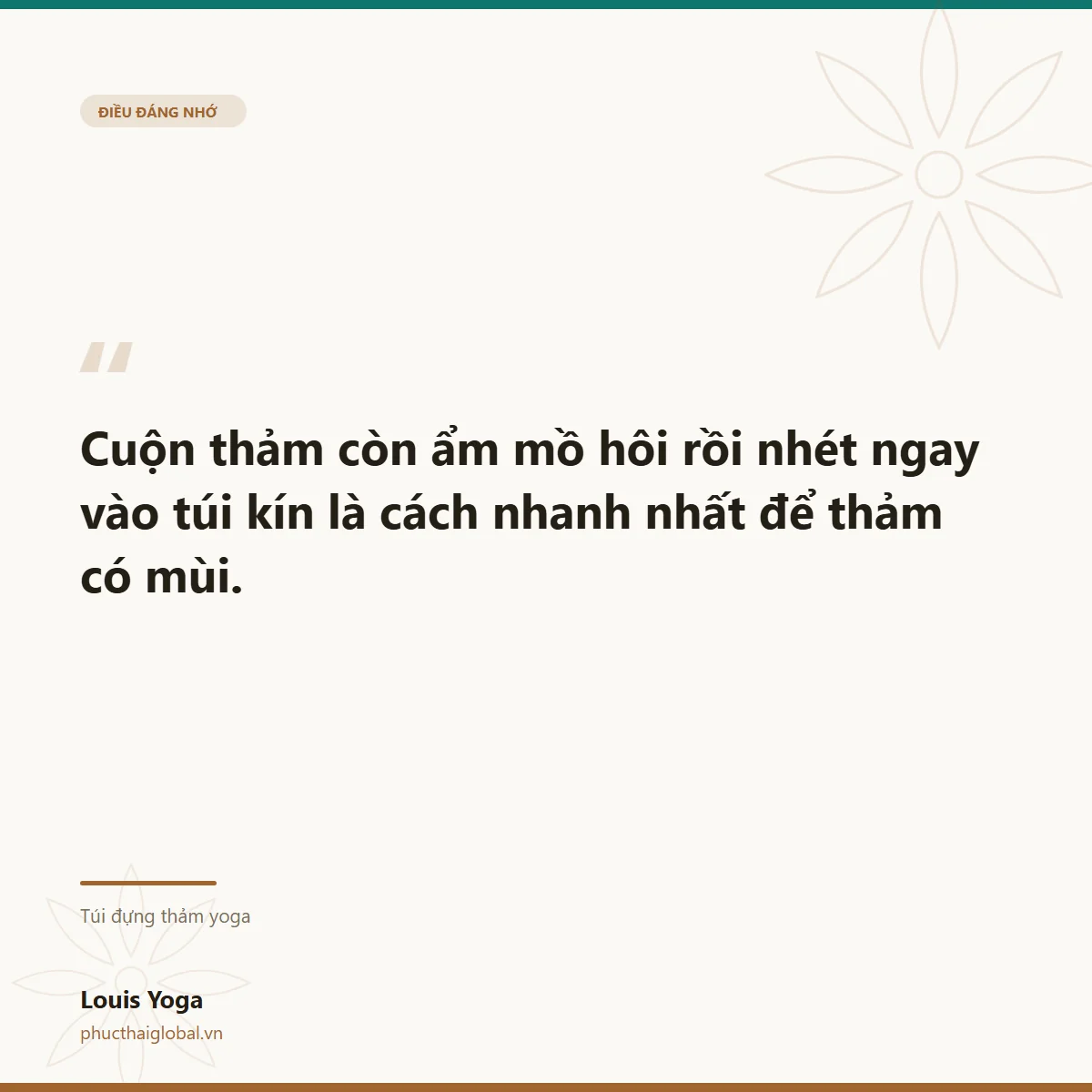 Thẻ trích dẫn: đừng cho thảm còn ẩm vào túi kín