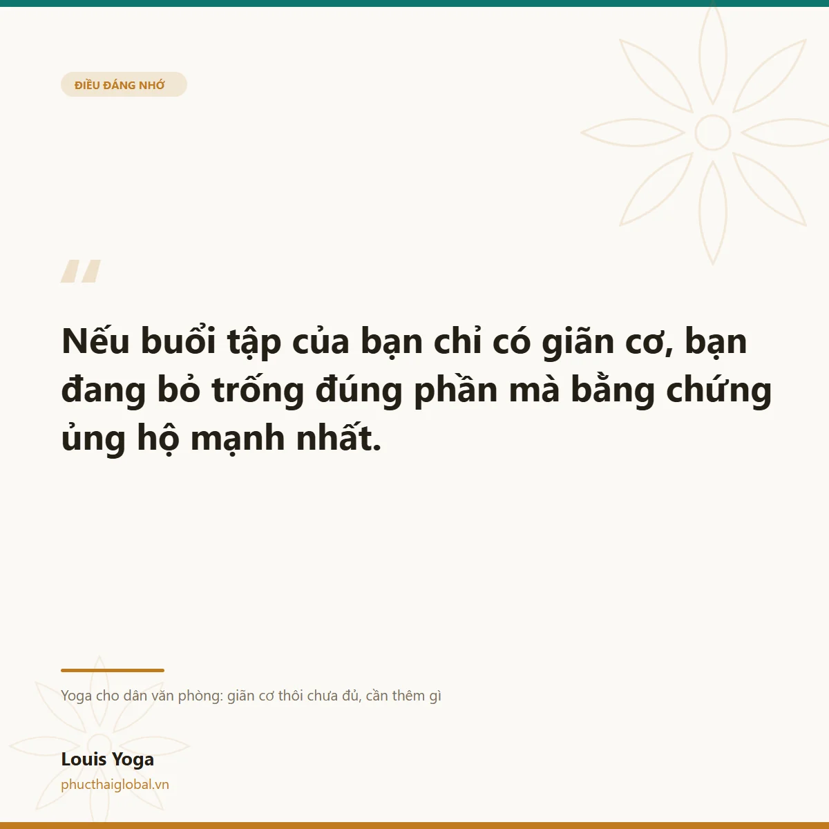 Thẻ trích dẫn: nếu buổi tập chỉ có giãn cơ, bạn đang bỏ trống đúng phần mà bằng chứng ủng hộ mạnh nhất